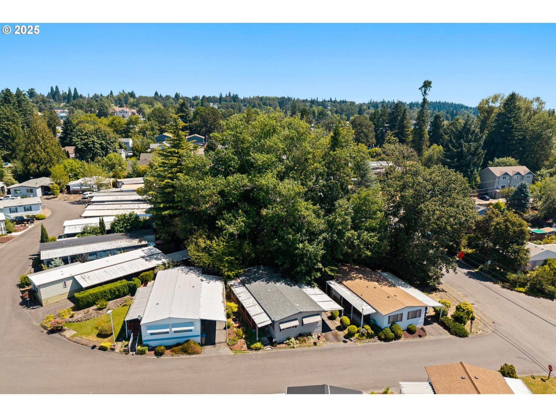 3405 Southeast Vineyard Road, Unit 49 Milwaukie, OR 97267 - Photo 42 of 43 a view of a yard with wooden fence
