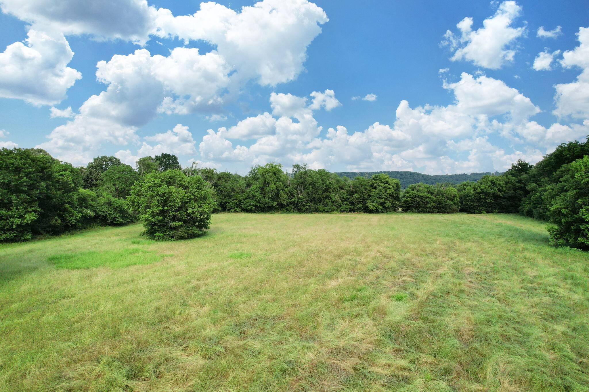 5.2-acres Freewill Road Northwest Cleveland, TN 37312 - Photo 2 of 16 2-web-or-mls-DJI_0763