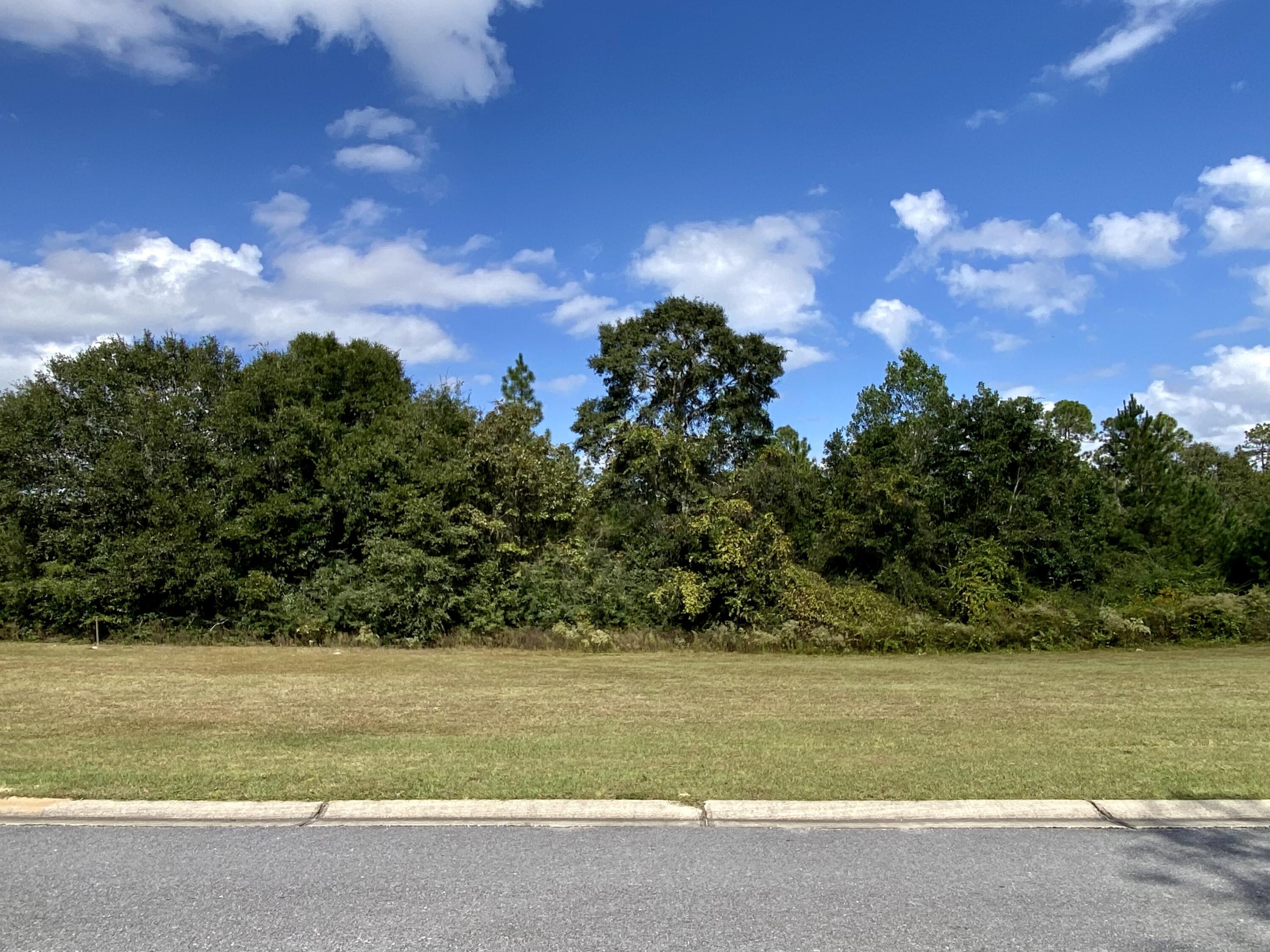 3062 Zach Avenue Crestview, FL 32536 - Photo 4 of 18 a view of a yard