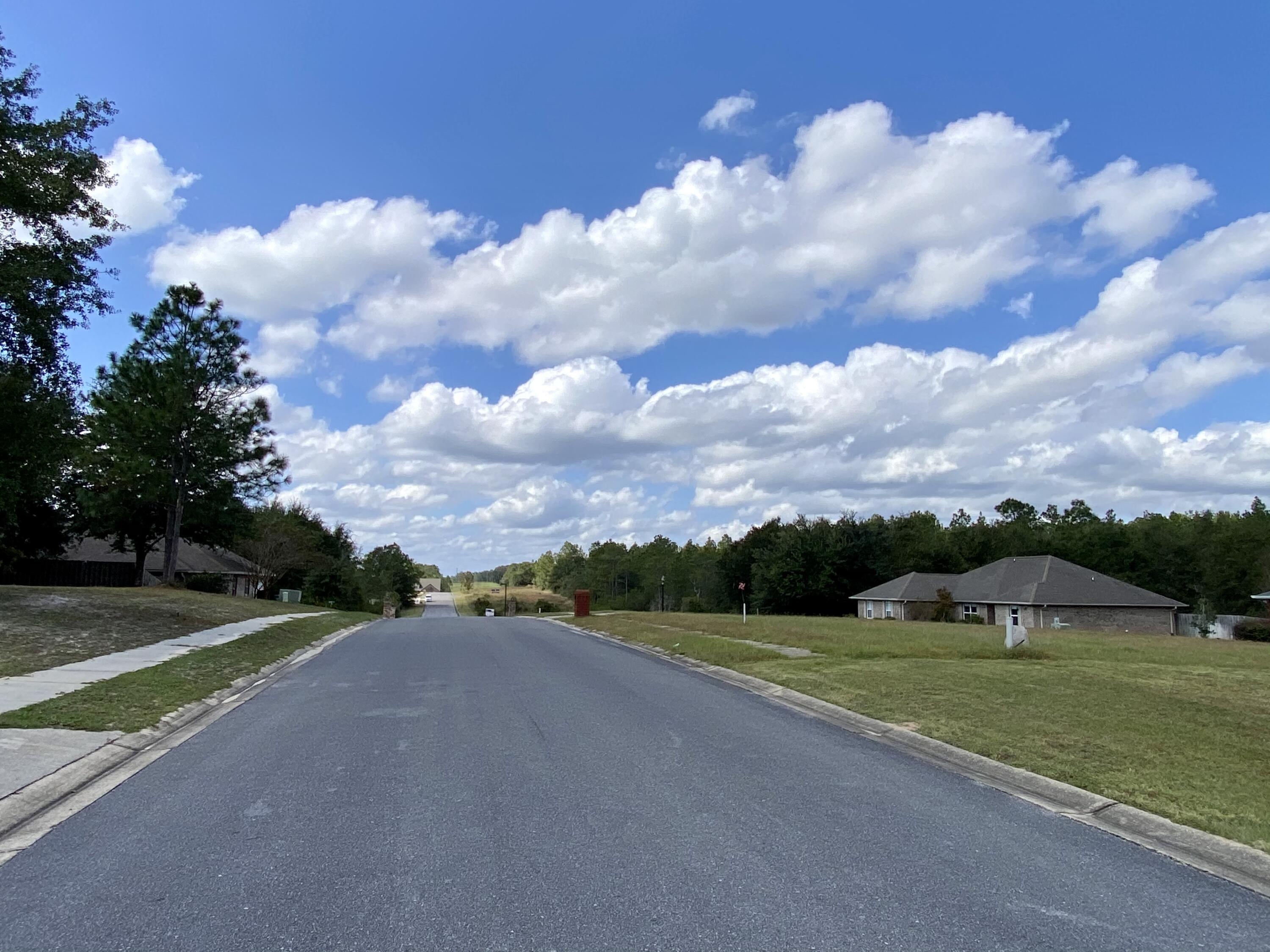 3062 Zach Avenue Crestview, FL 32536 - Photo 10 of 18 a view of a city street with a big yard