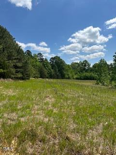A67-178 Bowmantown Road Roxboro, NC 27574 - Photo 3 of 3 a view of a lake with a city