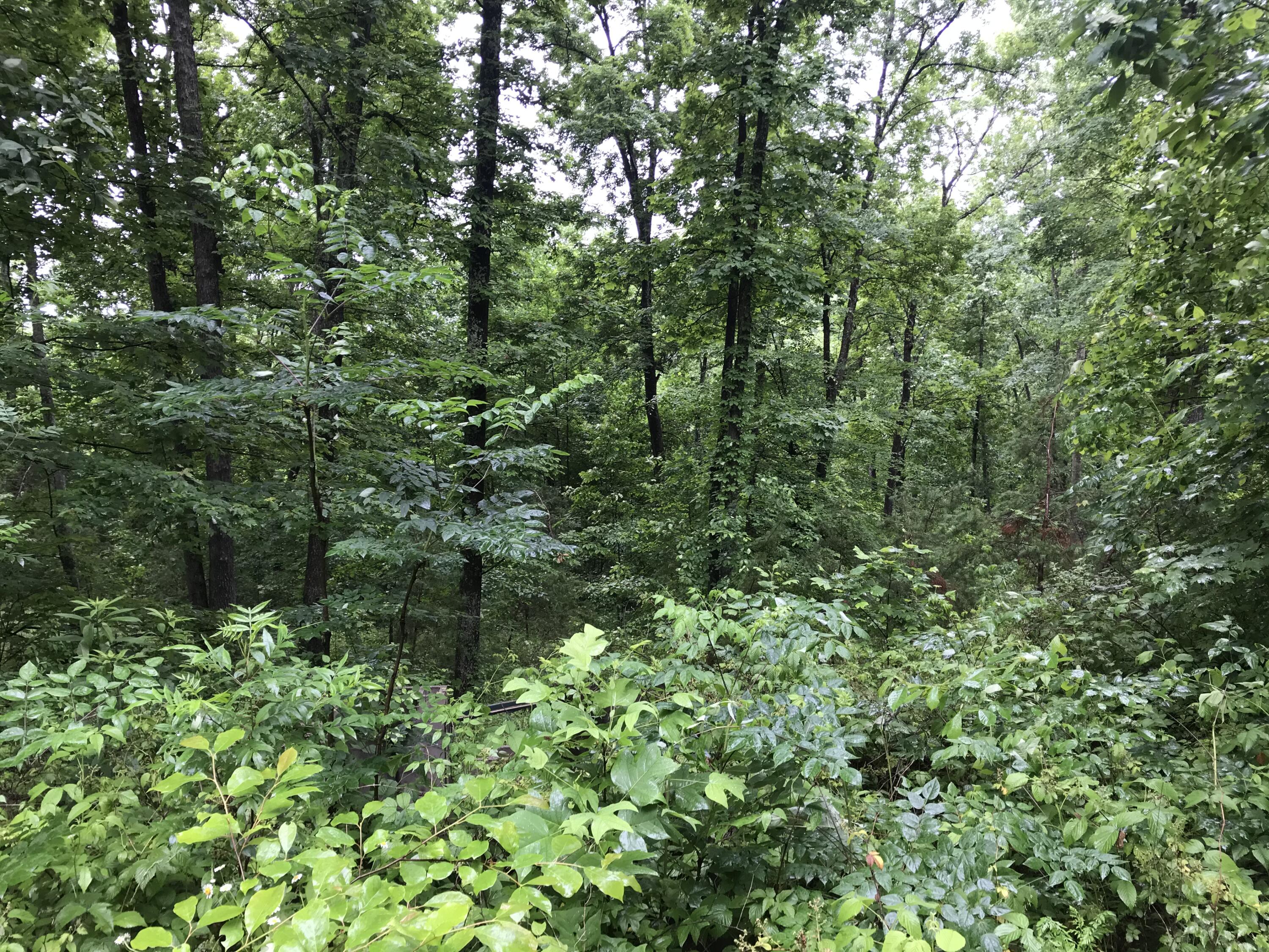 1512 Cub Run Road Wellington, KY 40387 - Photo 28 of 32 428D7F33-89AE-461D-913D-B904DB8AEA5F