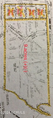 $10,900,000 | 7422 Sea Lilly Lane, Wilmington, NC 28409