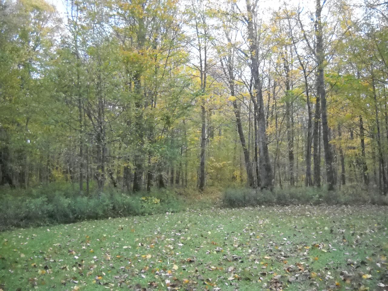 W11867 Lower Price Creek Road Phillips, WI 54555 - Photo 23 of 30 Gallery Image 23
