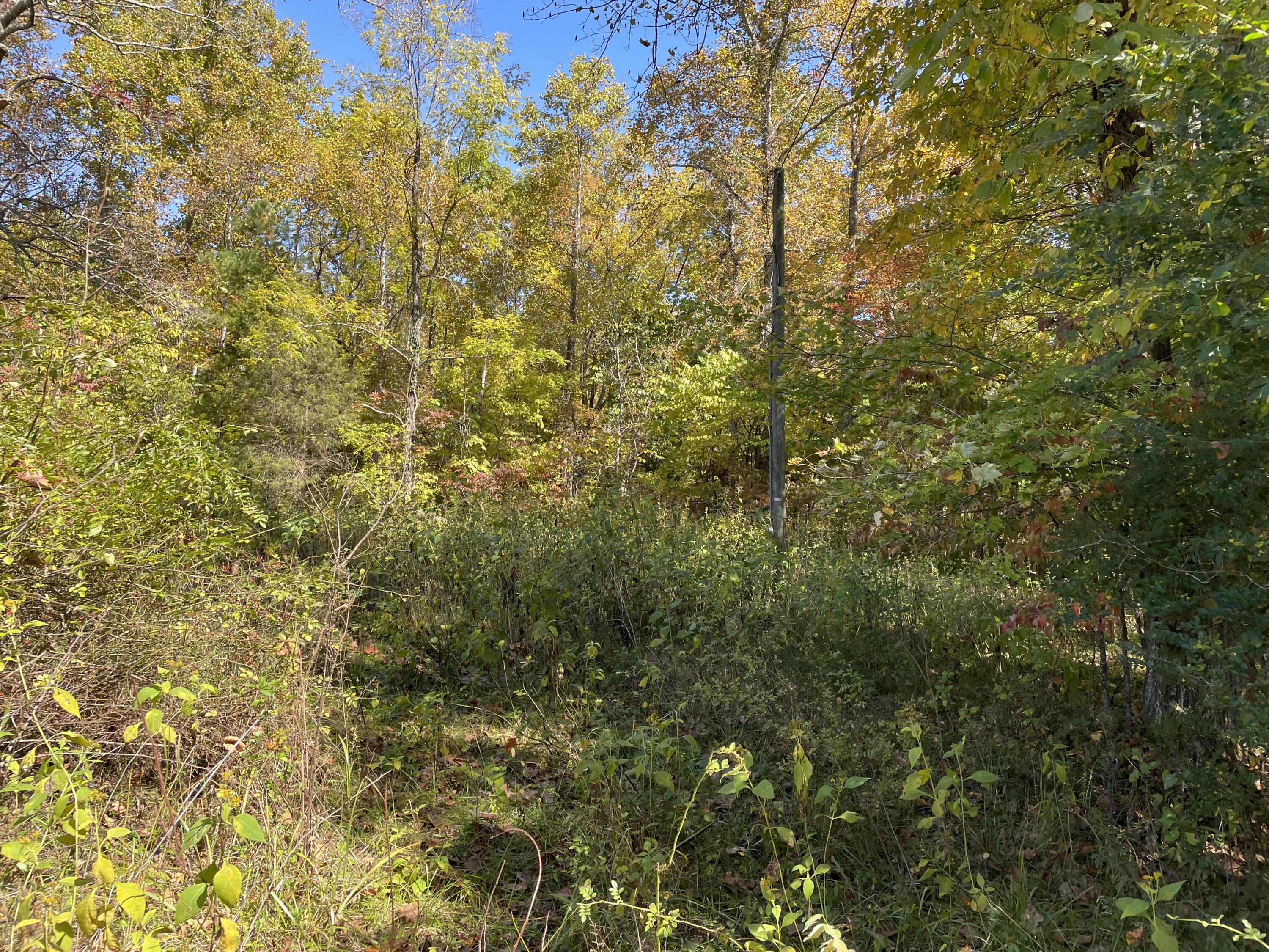 500 Wesley Chapel Road Somerset, KY 42501 - Photo 16 of 16 30DFD943-57C0-456A-AF24-77F5E0AAB2E6