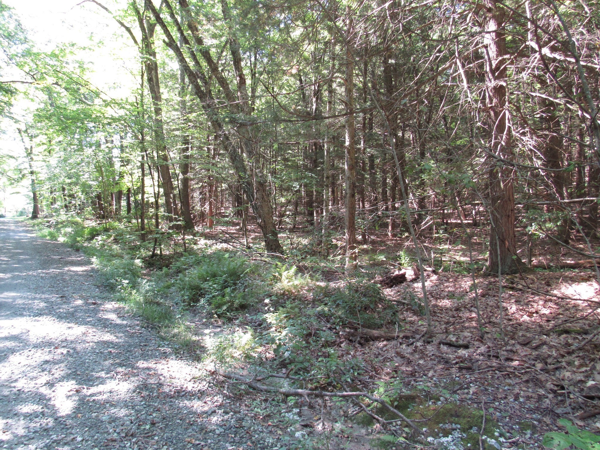 6 Round Hill Road Chester, MA 01011 - Photo 2 of 5 Gallery Image 2