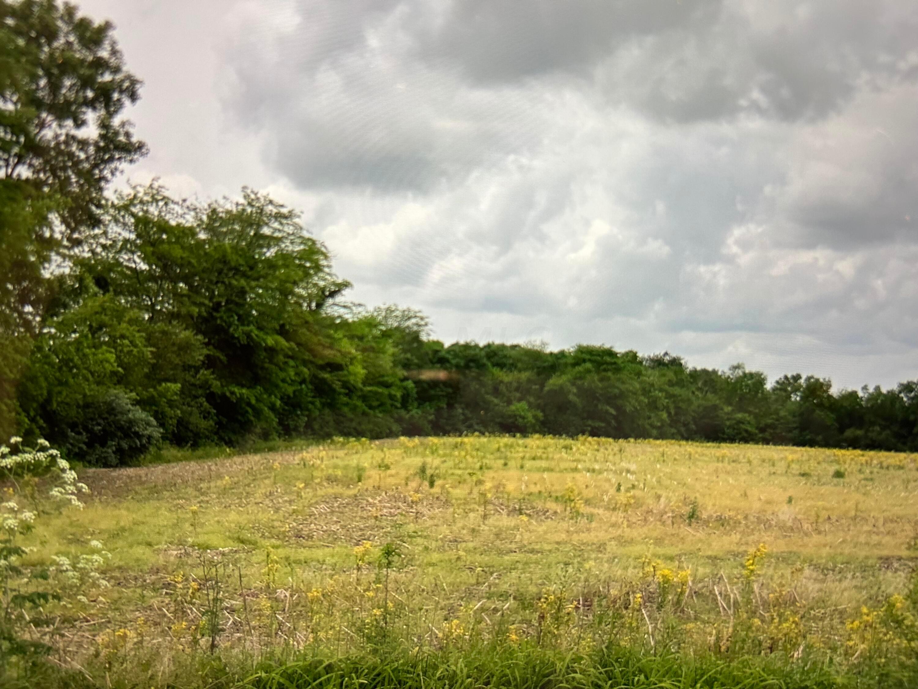 0 Shoemaker Road, Unit LOT 5 Circleville, OH 43113 - Photo 1 of 1 IMG_4439