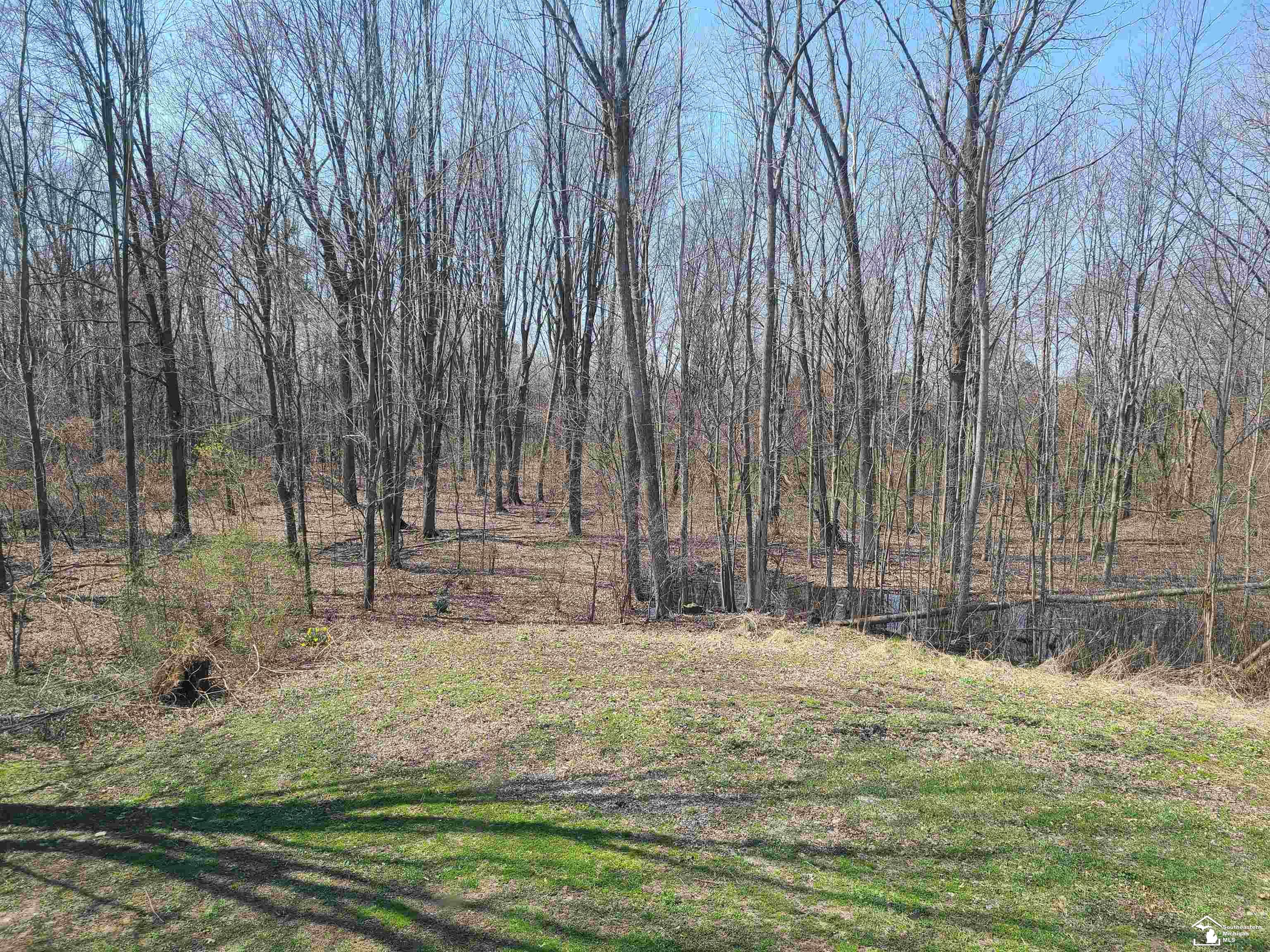 11581 Dixon Road Monroe, MI 48161 - Photo 11 of 41