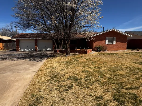 a view of a yard with a large tree