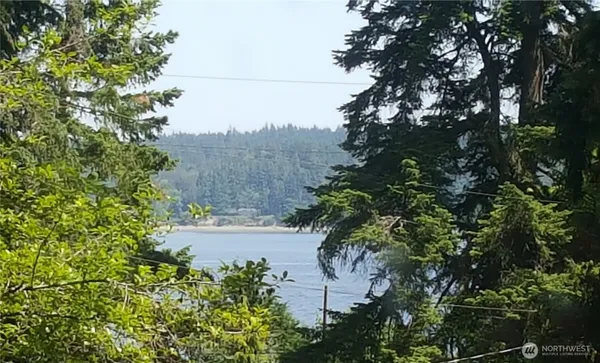 a view of a lake with a tree