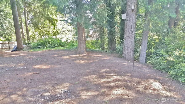 a view of a yard with large trees