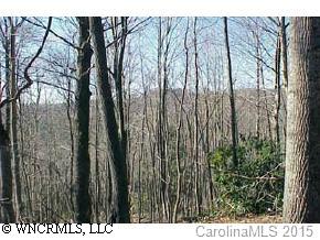 a view of outdoor space with lots of trees