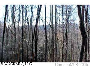 0 Merrills Ridge Road Asheville, NC 28803 - Photo 2 of 4 a view of park from a window