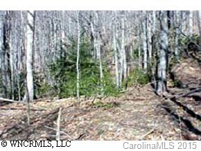 0 Merrills Ridge Road Asheville, NC 28803 - Photo 3 of 4 a view of outdoor space with lots of trees