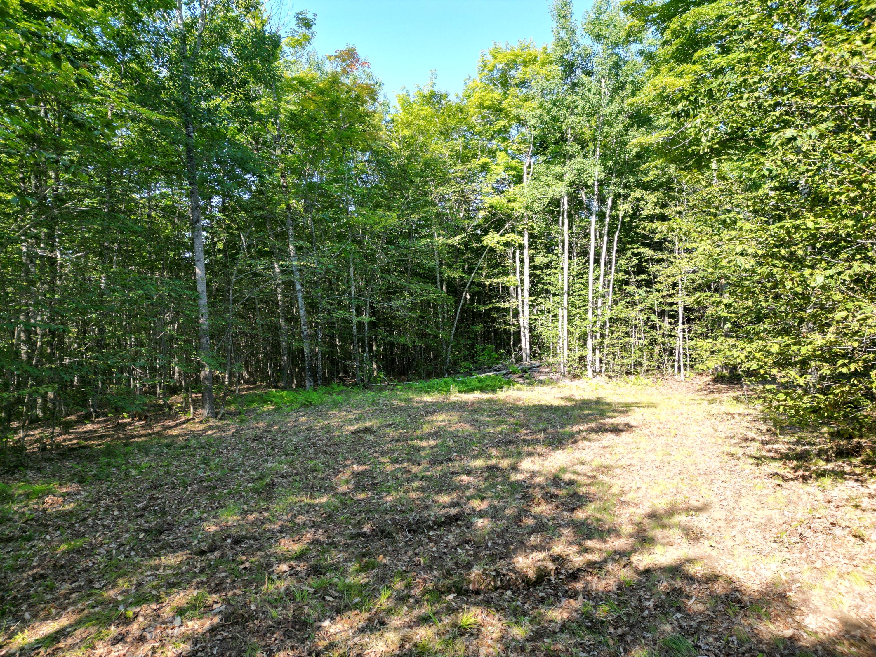 29 Spaulding Lane Lee, ME 04455 - Photo 10 of 14 DJI_0974