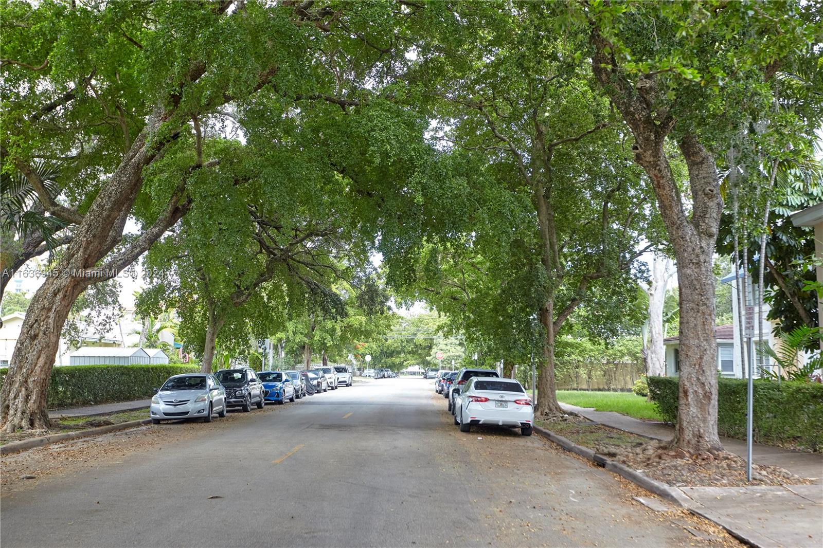 Central Gables Coral Gables, FL 33134 - Photo 2 of 45 One of the most beautiful streets in CG