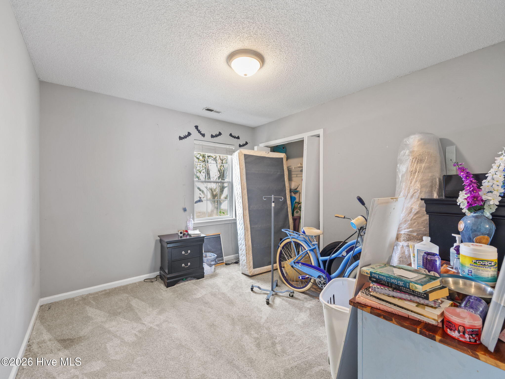 329 Steller Road Jacksonville, NC 28540 - Photo 15 of 46 15-web-or-mls-329 Steller Rd. 33