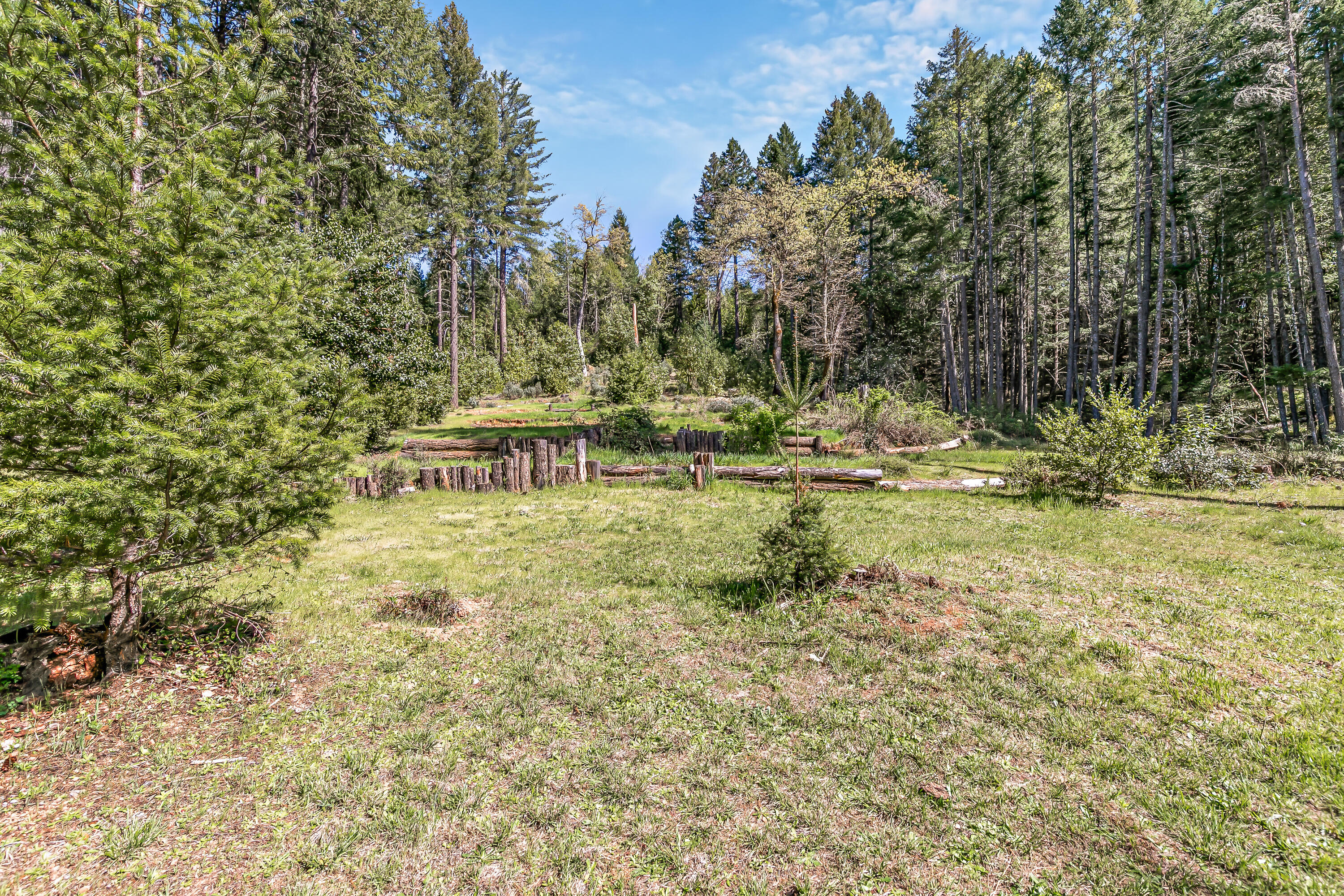 707 McMullen Creek Road Selma, OR 97538 - Photo 42 of 55