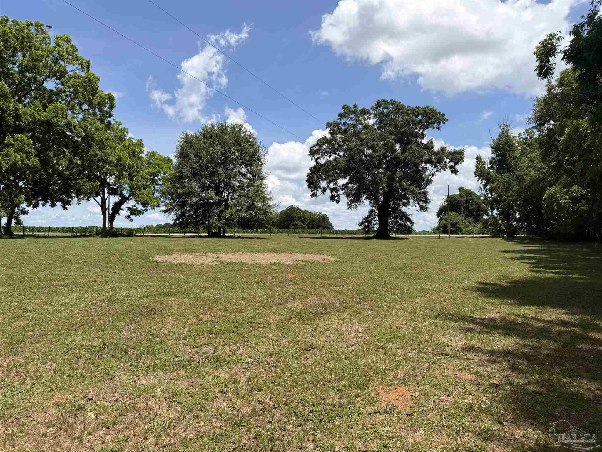145 Tower Road Uriah, AL 36480 - Photo 45 of 72