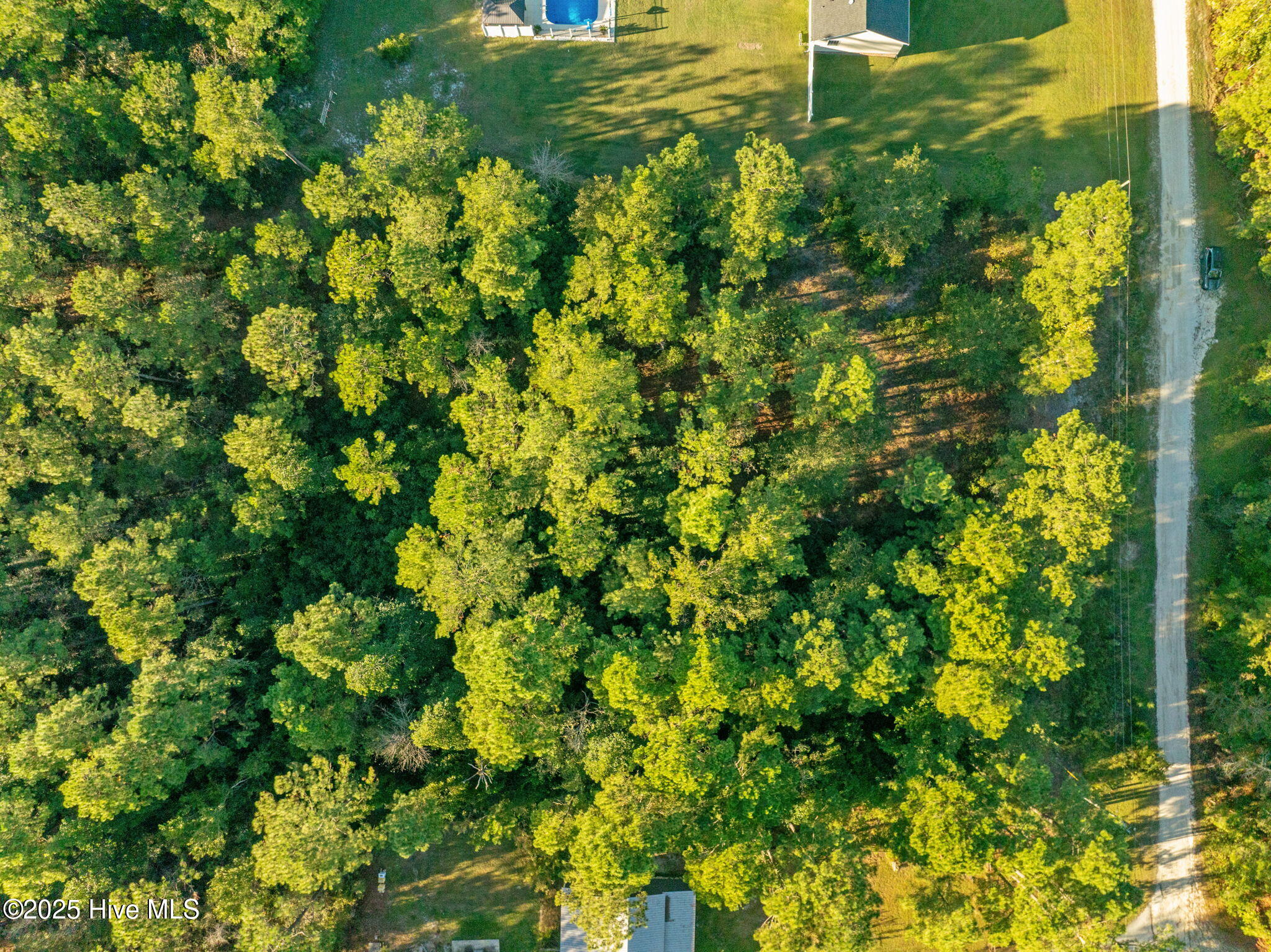 252 Newbold Road Jacksonville, NC 28540 - Photo 17 of 17 16-web-or-mls-Property Lines