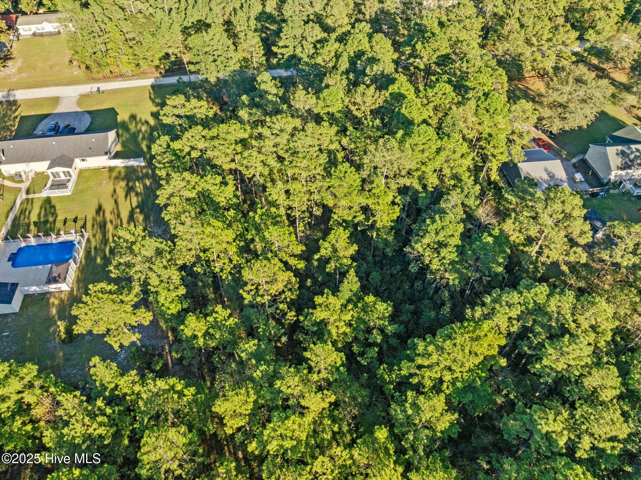 252 Newbold Road Jacksonville, NC 28540 - Photo 3 of 17 2-web-or-mls-06