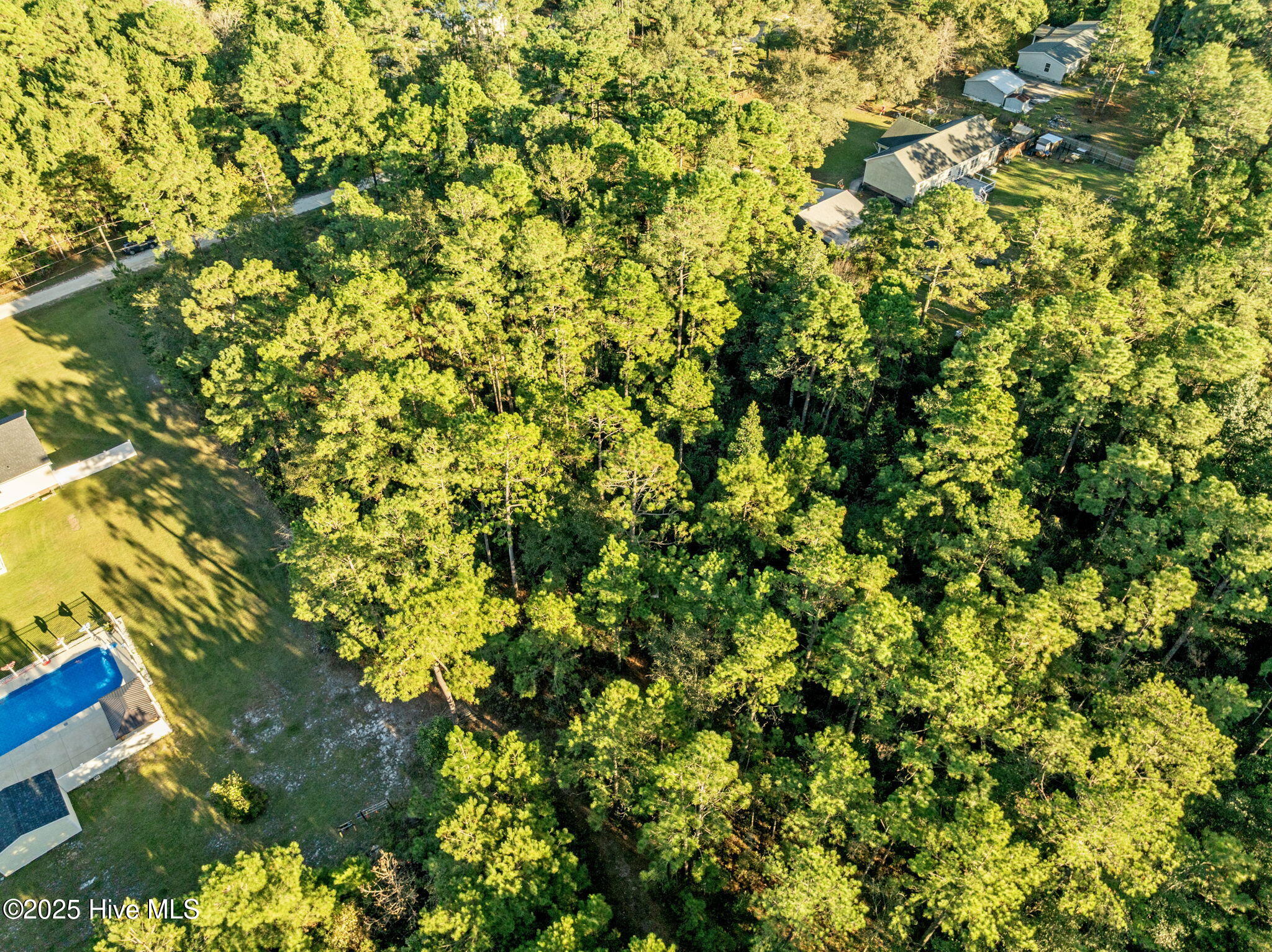 252 Newbold Road Jacksonville, NC 28540 - Photo 10 of 17 9-web-or-mls-05