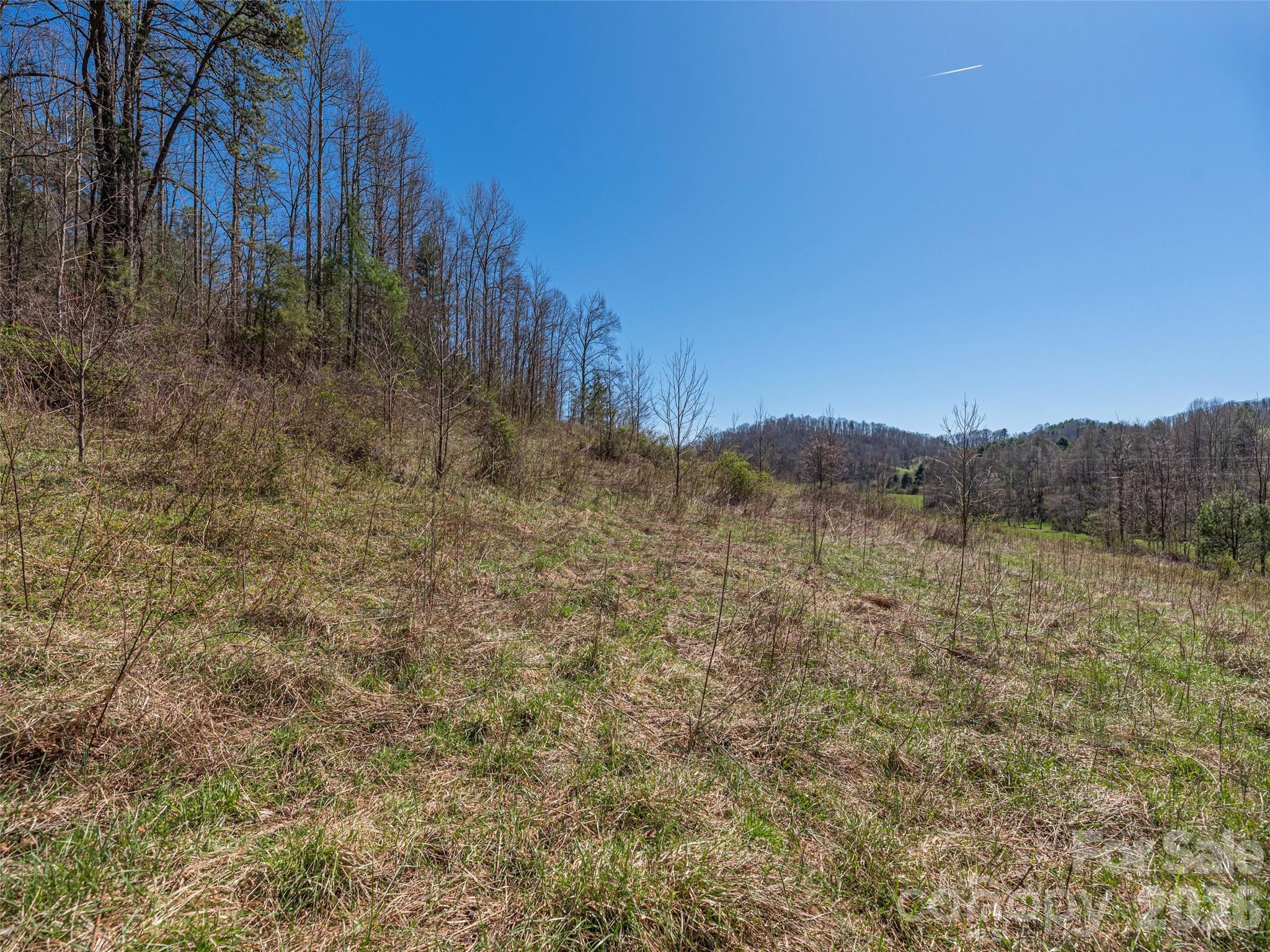 0 Worley Cove Road Marshall, NC 28753 - Photo 12 of 25 a view of a large body of water with a tree in the background