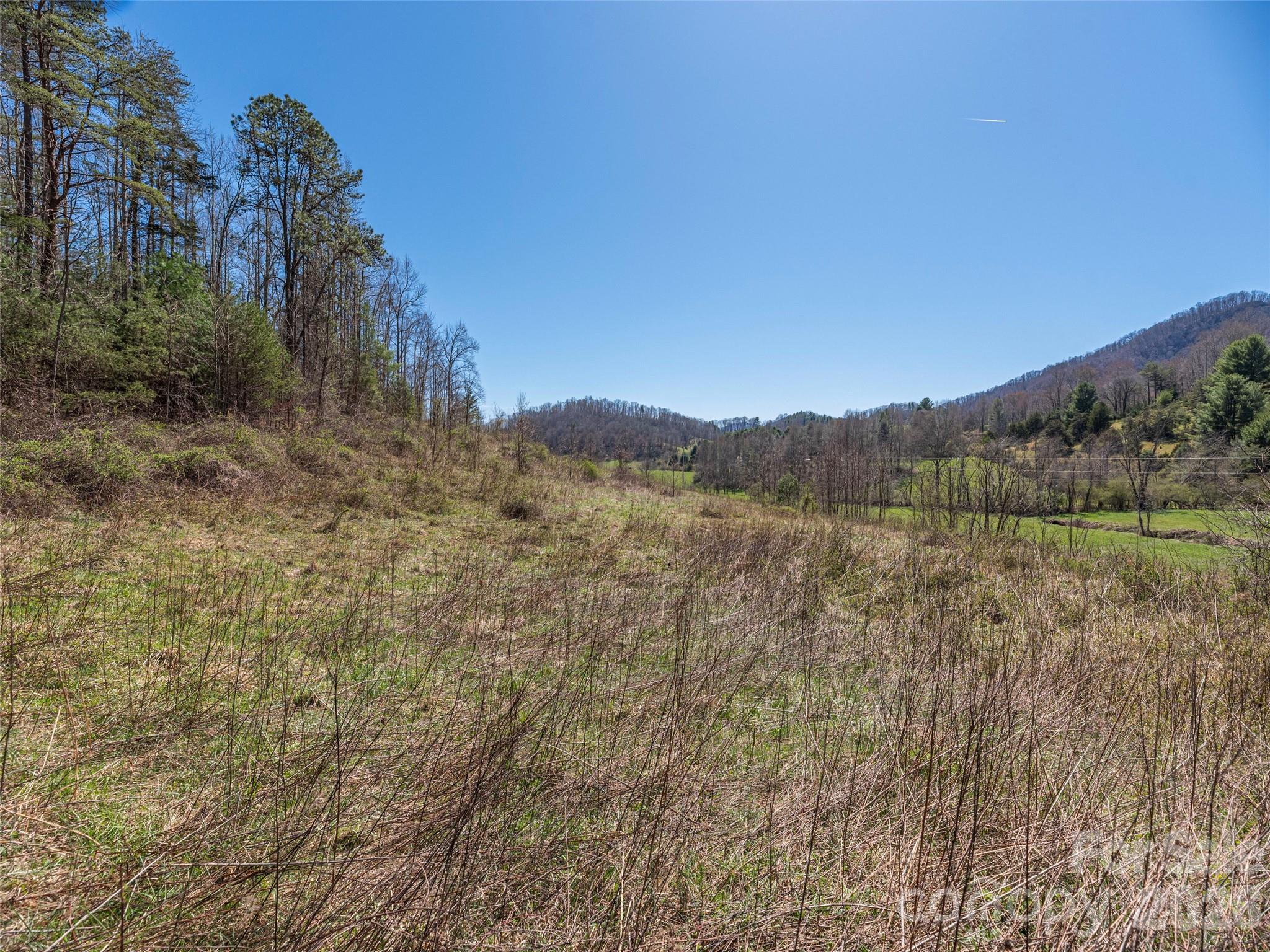 0 Worley Cove Road Marshall, NC 28753 - Photo 13 of 25 a view of a large body of water with a tree in the background
