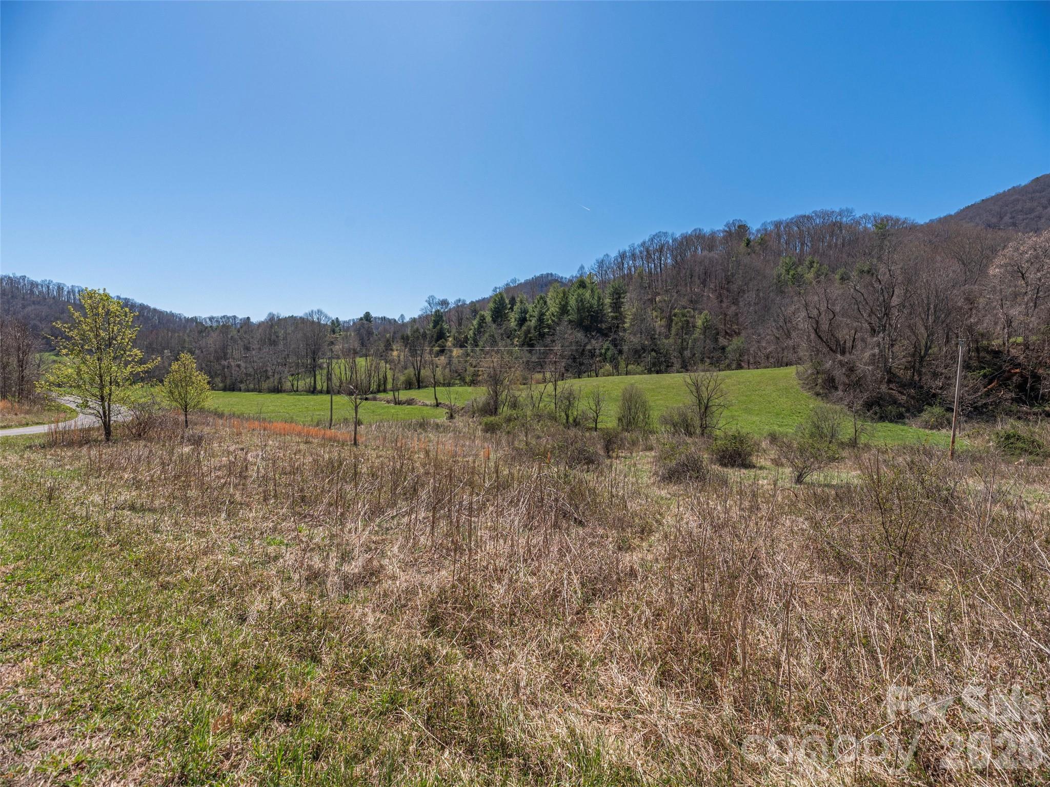 0 Worley Cove Road Marshall, NC 28753 - Photo 15 of 25 a view of a field with a tree in the background
