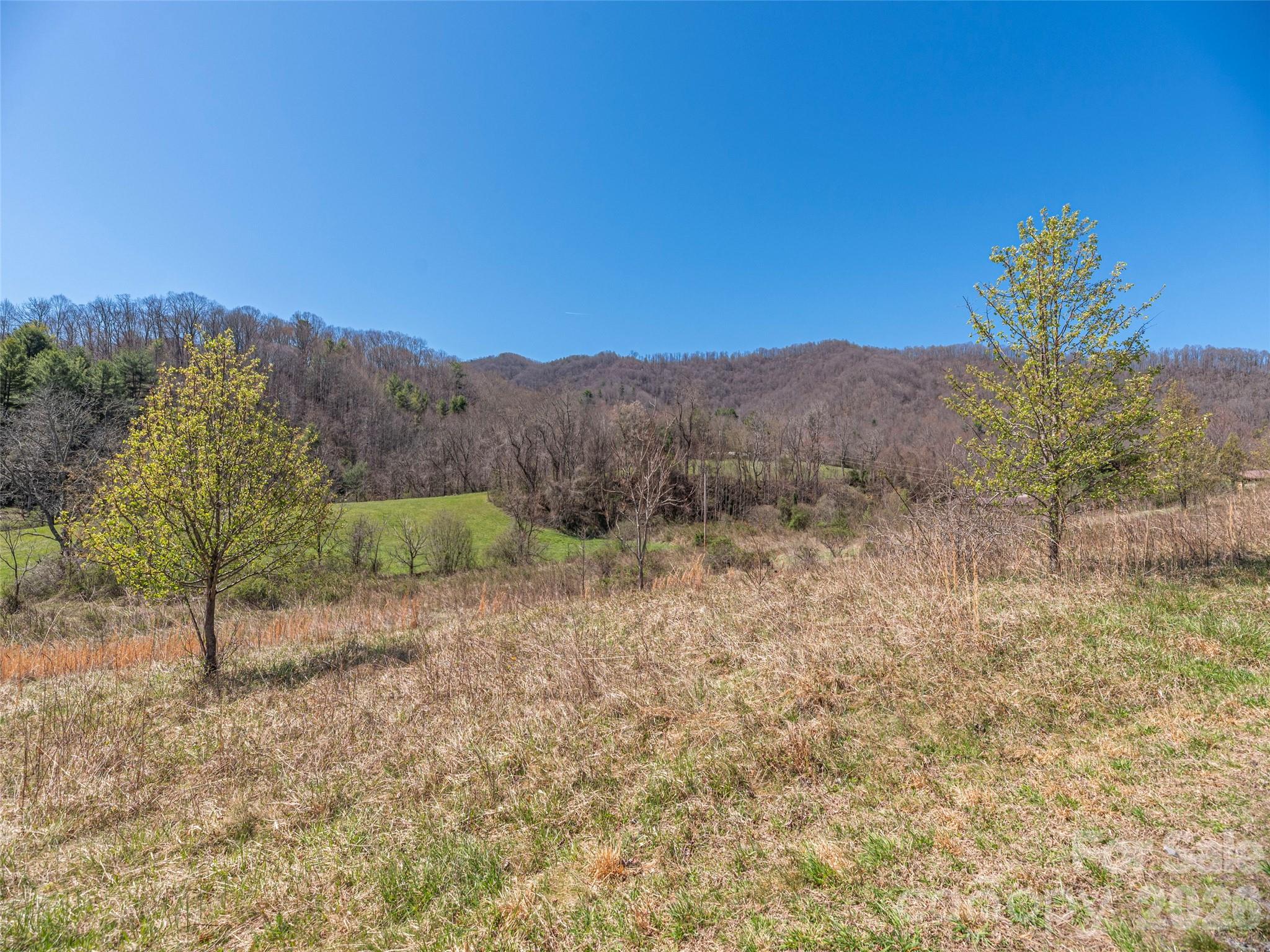 0 Worley Cove Road Marshall, NC 28753 - Photo 16 of 25 a view of a dry yard with trees