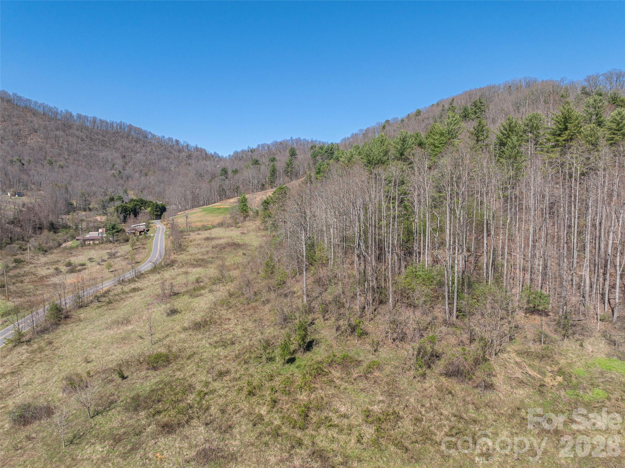 0 Worley Cove Road Marshall, NC 28753 - Photo 20 of 25 a view of a dry yard with trees in the background