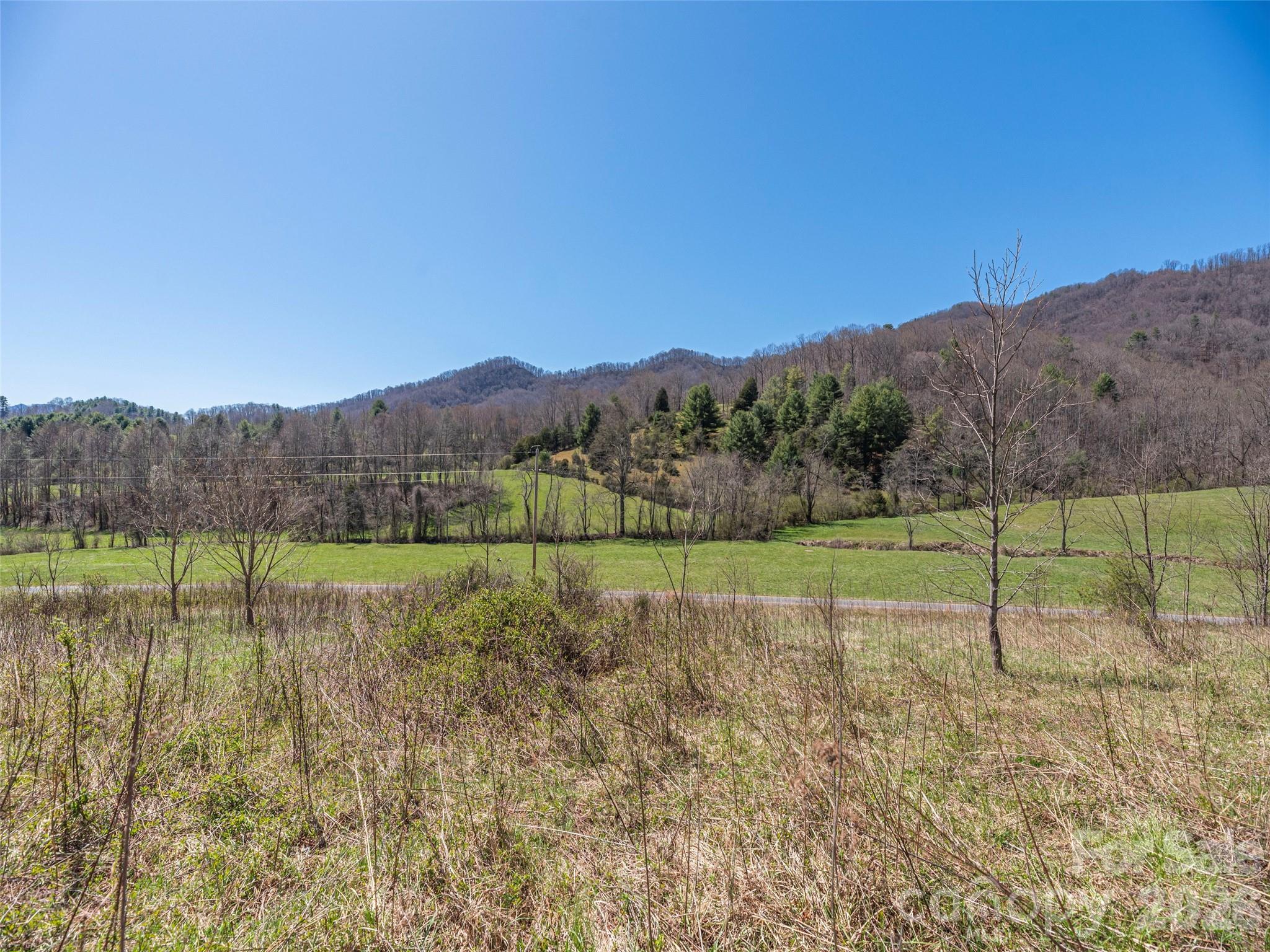 0 Worley Cove Road Marshall, NC 28753 - Photo 4 of 25 a view of a field with a mountain in the background