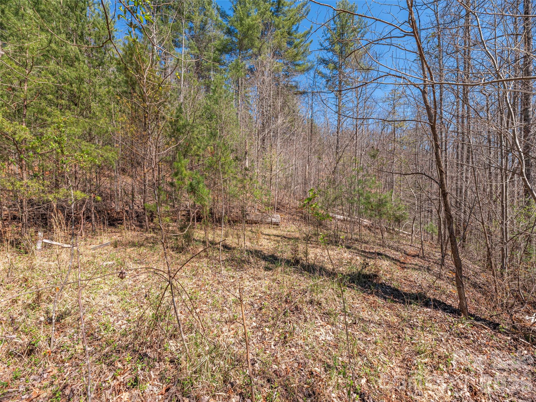 0 Worley Cove Road Marshall, NC 28753 - Photo 7 of 25 a view of a yard with trees