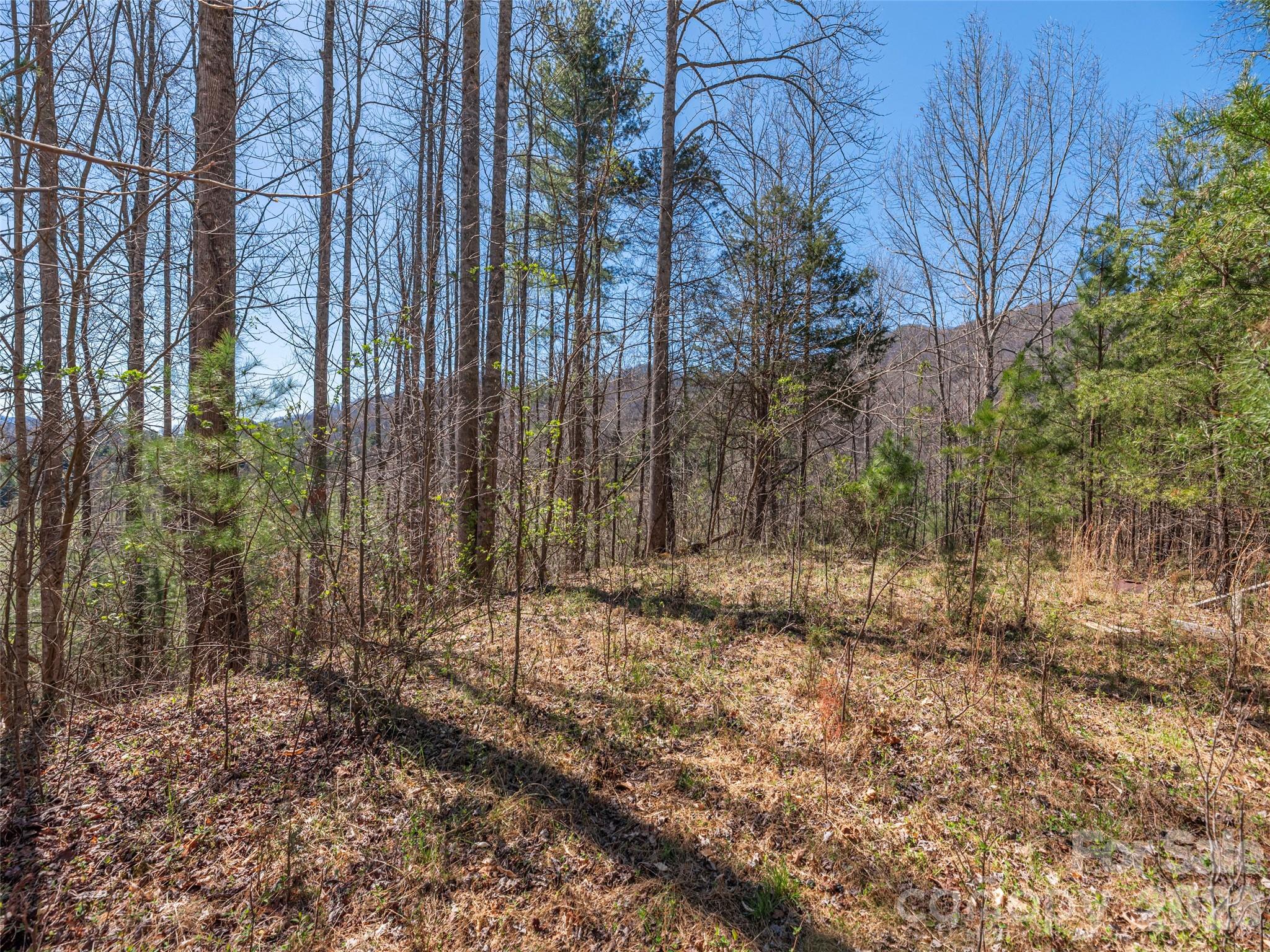 0 Worley Cove Road Marshall, NC 28753 - Photo 8 of 25 a backyard of a house with lots of green space