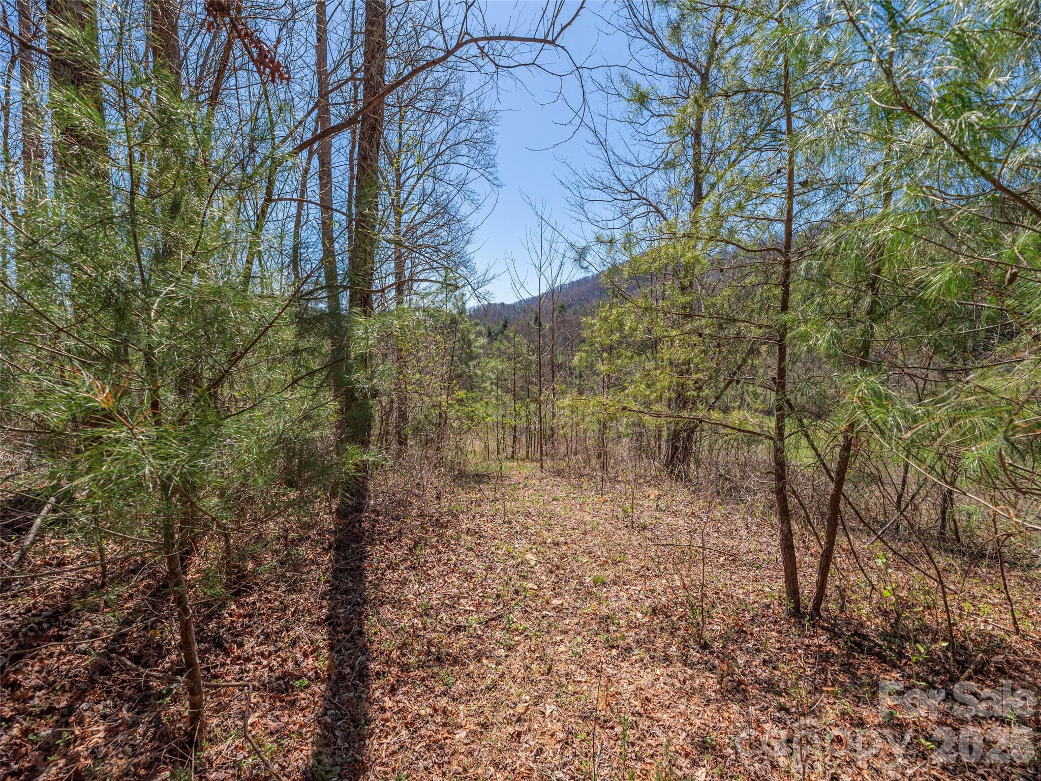 0 Worley Cove Road Marshall, NC 28753 - Photo 9 of 25 a backyard of a house with lots of green space
