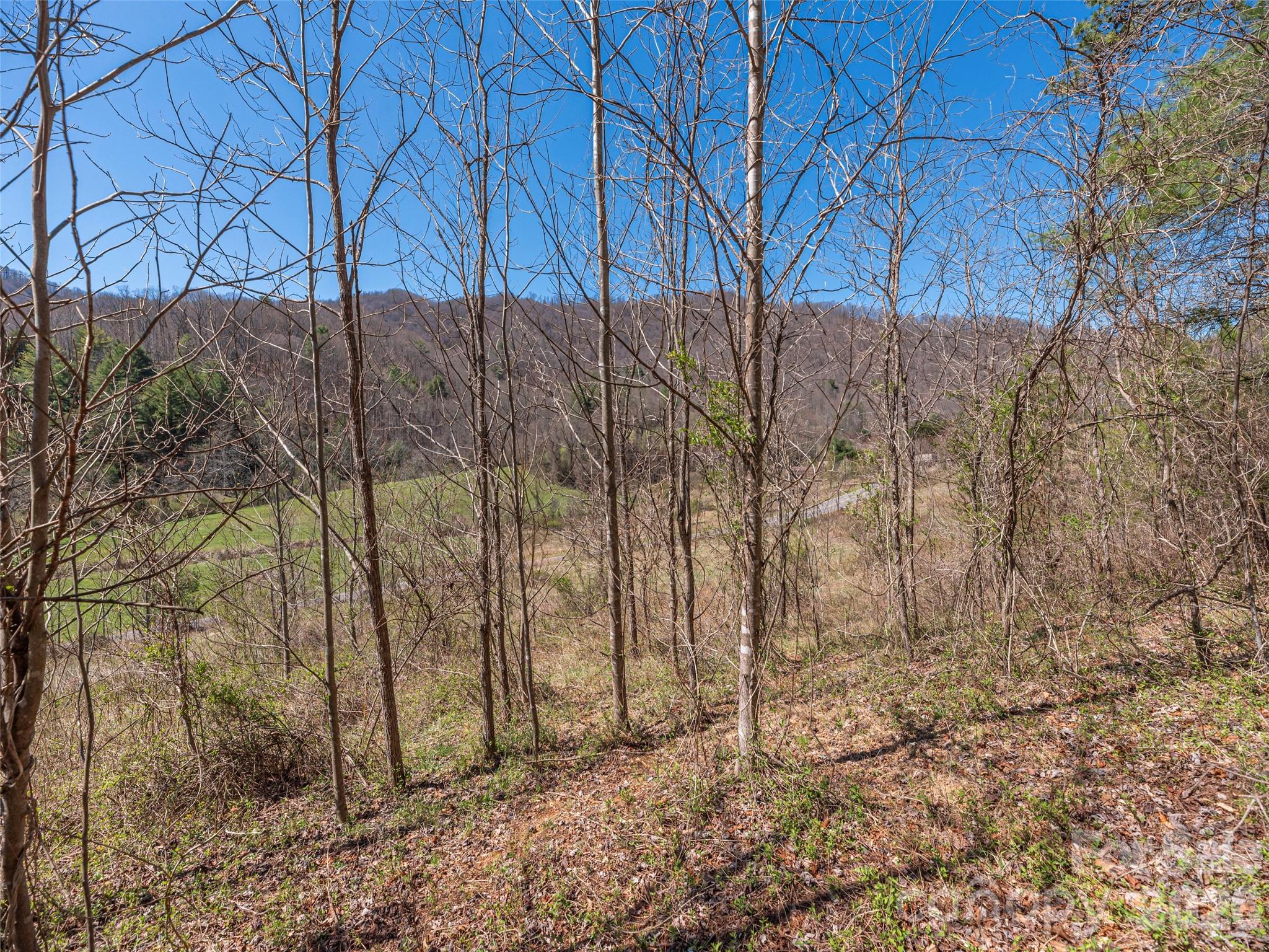 0 Worley Cove Road Marshall, NC 28753 - Photo 10 of 25 a backyard of a house with lots of green space