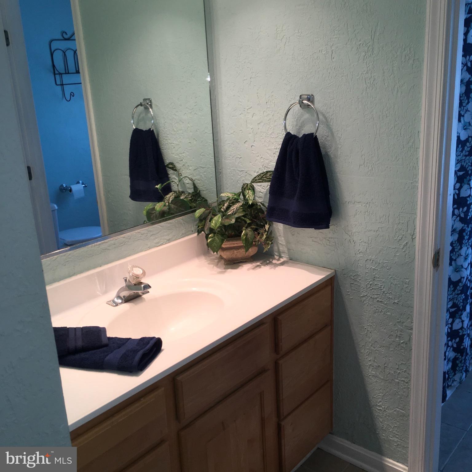 318 Ackerman Road Stevensville, MD 21666 - Photo 13 of 29 Bath (Master)