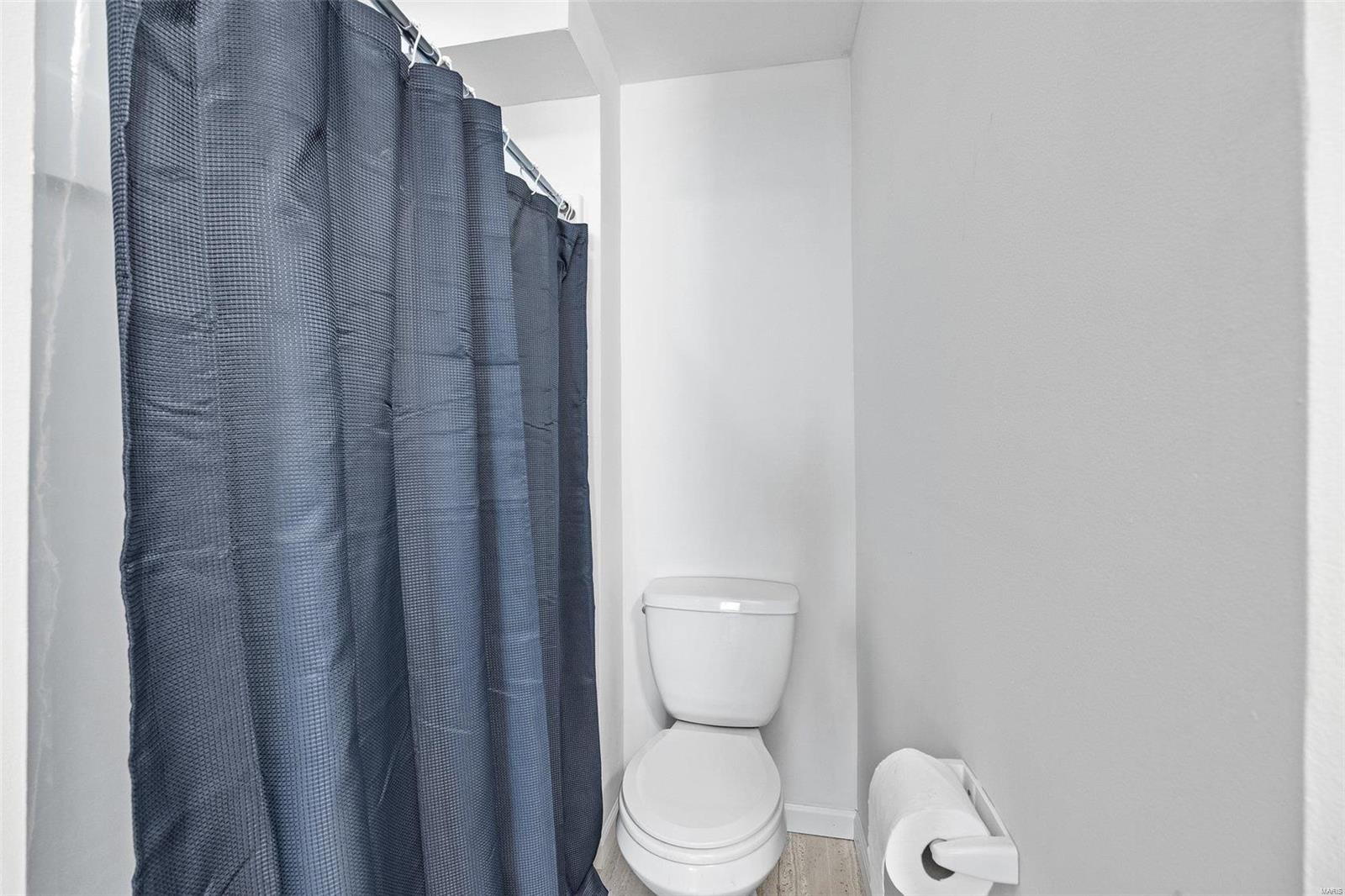 433 Spring Trace O'Fallon, MO 63368 - Photo 29 of 32