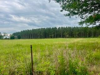 2423 Union Road Southeast Brookhaven, MS 39601 - Photo 3 of 10