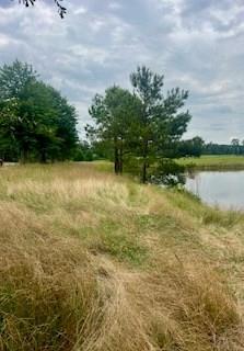 2423 Union Road Southeast Brookhaven, MS 39601 - Photo 6 of 10