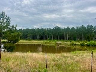 2423 Union Road Southeast Brookhaven, MS 39601 - Photo 8 of 10