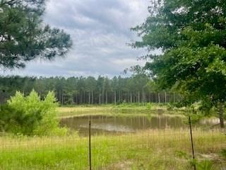 2423 Union Road Southeast Brookhaven, MS 39601 - Photo 9 of 10