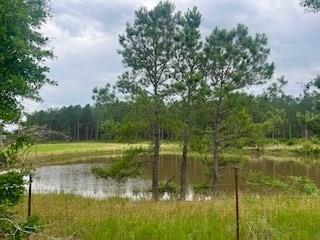 2423 Union Road Southeast Brookhaven, MS 39601 - Photo 10 of 10