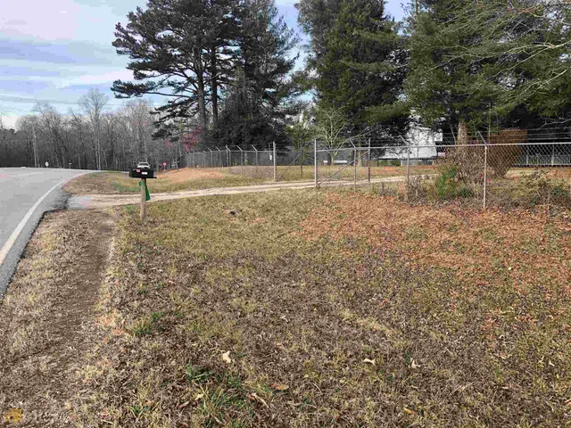 a view of a park with large trees