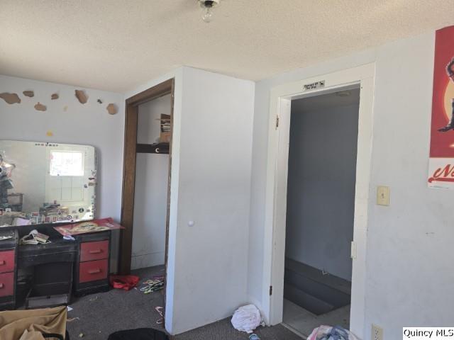 65 East 3rd Street Dallas City, IL 62330 - Photo 16 of 21