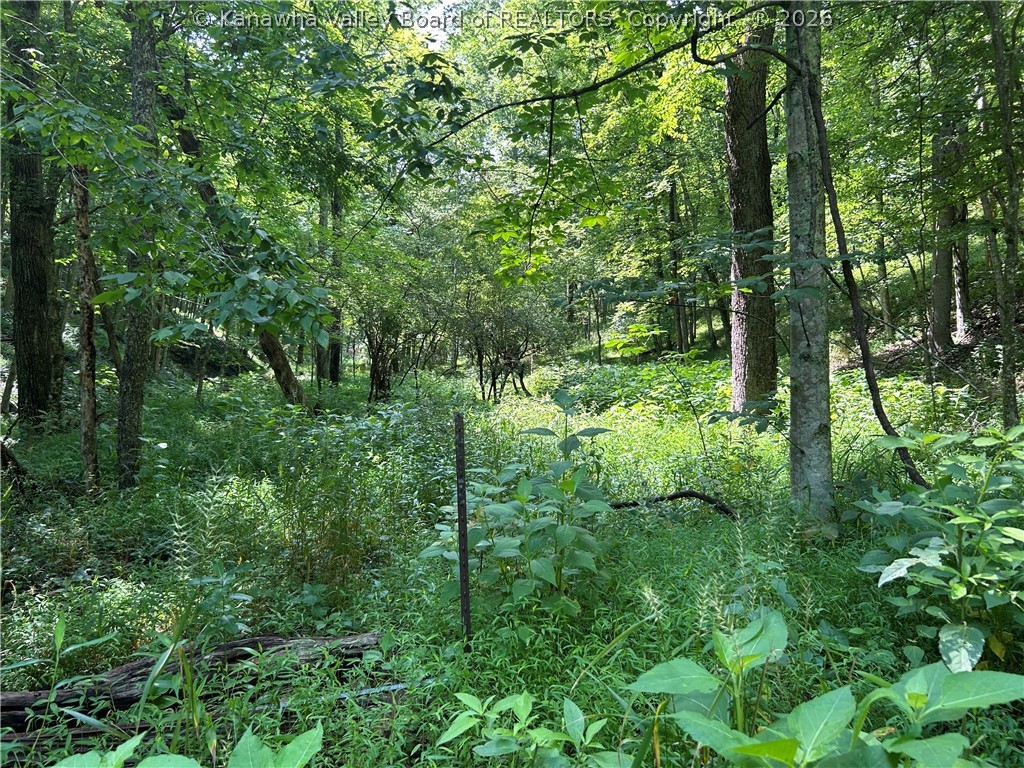 1640 Charleston Road Spencer, WV 25276 - Photo 7 of 13 Property stake