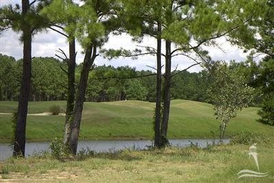 9262 Oldfield Road Calabash, NC 28467 - Photo 3 of 15 Additional Photo