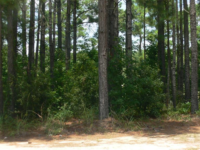 9262 Oldfield Road Calabash, NC 28467 - Photo 8 of 15 Additional Photo