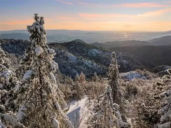 a view of a forest with mountains in the background