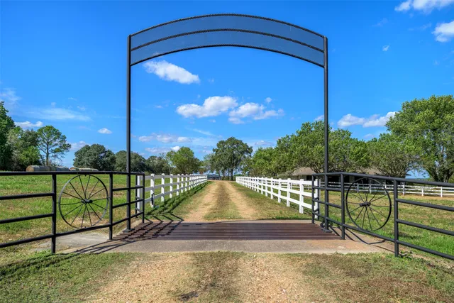 a view of swimming pool with a large trees